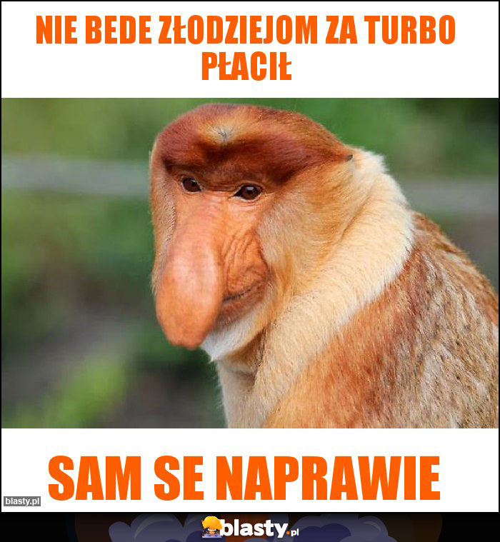 Nie bede złodziejom za turbo płacił Nie bede złodziejom za turbo płacił