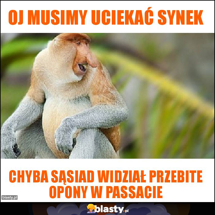 Oj musimy uciekać synek Oj musimy uciekać synek