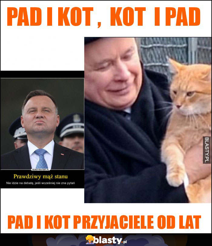 PAD i kot , kot i PAD PAD i kot , kot i PAD