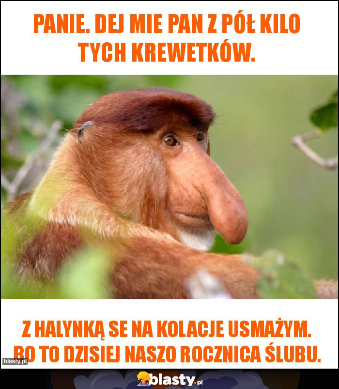 Panie. Dej mie pan z pół kilo tych krewetków. Panie. Dej mie pan z pół kilo tych krewetków.