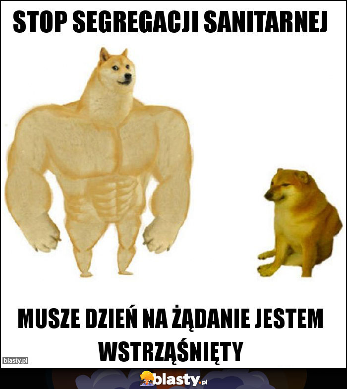 Stop Segregacji sanitarnej Stop Segregacji sanitarnej