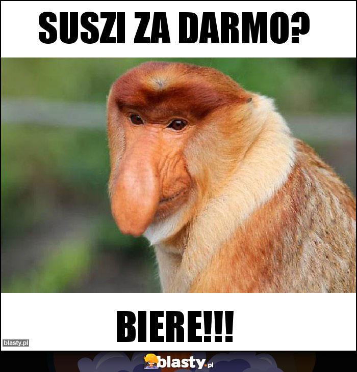 Suszi za darmo? Suszi za darmo?