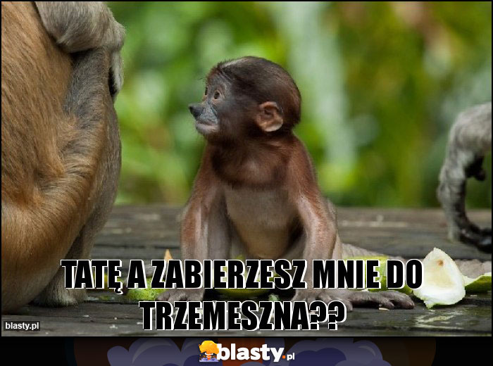 Tatę a zabierzesz mnie do Trzemeszna?? Tatę a zabierzesz mnie do Trzemeszna??