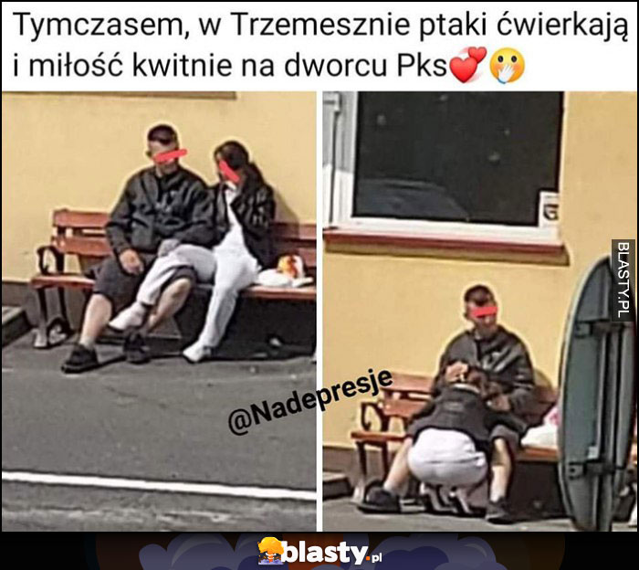 Tymczasem w Trzemesznie miłość kwitnie na dworcu PKS lodzik