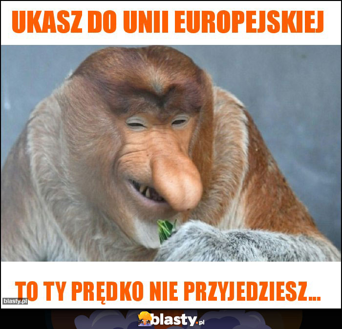 Ukasz do Unii Europejskiej Ukasz do Unii Europejskiej