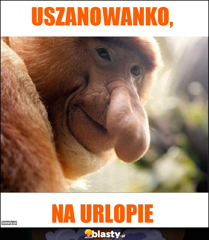 Uszanowanko,