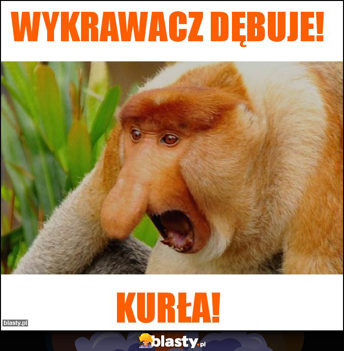Wykrawacz dębuje! Wykrawacz dębuje!