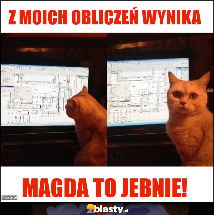 Z moich obliczeń wynika Z moich obliczeń wynika