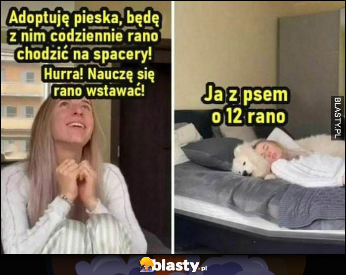 Adoptuję pieska, będę z nim chodzić rano na spacery, nauczę się rano wstawać, ja z psem o 12 rano