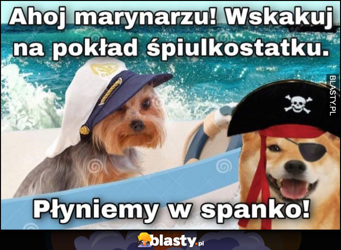 Ahoj marynarzu wskakuj na pokład śpiulkostatku, płyniemy w spanko pies psy