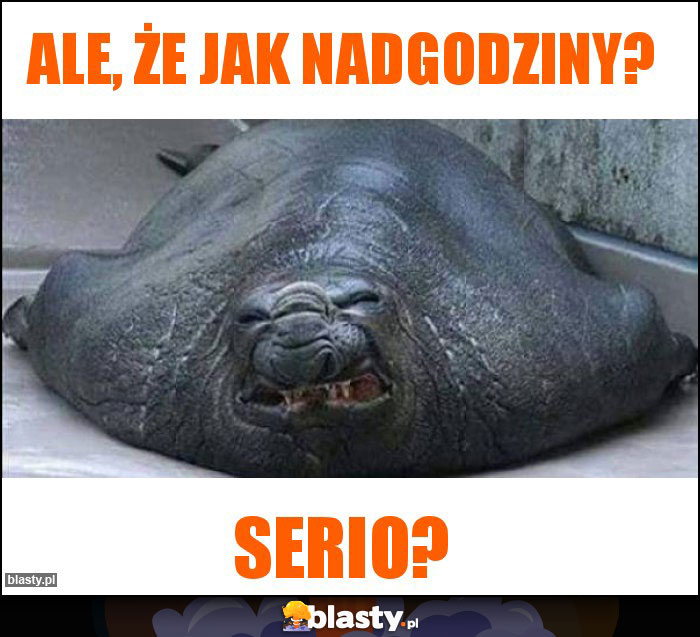 Ale, że jak nadgodziny? Ale, że jak nadgodziny?