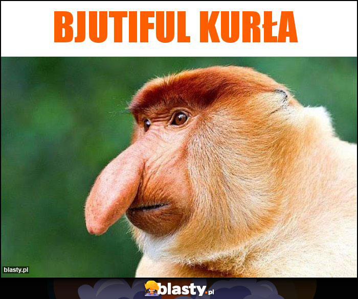 bjutiful kurła bjutiful kurła