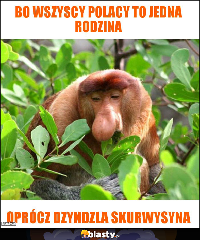Bo wszyscy Polacy to jedna rodzina Bo wszyscy Polacy to jedna rodzina