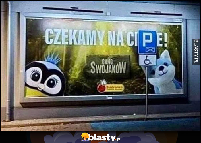 Czekany na Ciebie Gang Swojaków znak parking