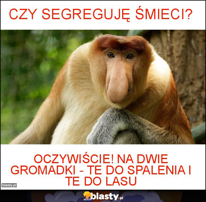 Czy segreguję śmieci? Czy segreguję śmieci?