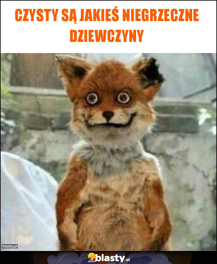 Czysty są jakieś niegrzeczne dziewczyny Czysty są jakieś niegrzeczne dziewczyny