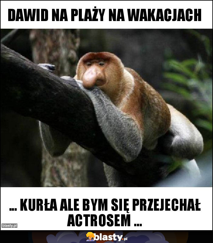 Dawid na plaży na wakacjach Dawid na plaży na wakacjach