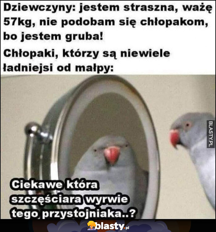 Dziewczyny: jestem straszna, ważę 57 kg, nie podobam się chłopakom bo jestem gruba papuga vs chłopaki niewiele ładniejsi od małpy: ciekawe która szczęściara wyrwie tego przystojniaka