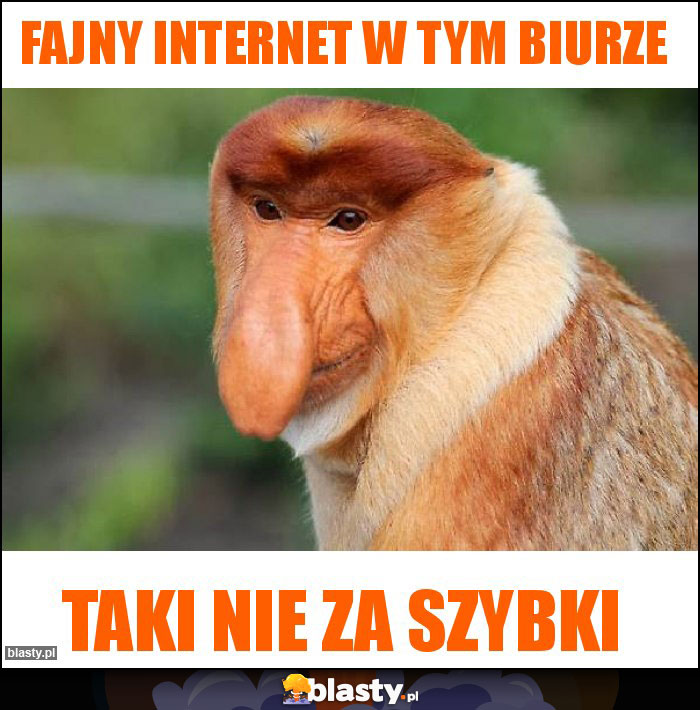 Fajny internet w tym biurze Fajny internet w tym biurze