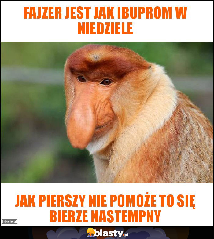 Fajzer jest jak Ibuprom w niedziele Fajzer jest jak Ibuprom w niedziele