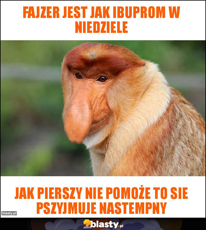 Fajzer jest jak Ibuprom w niedziele Fajzer jest jak Ibuprom w niedziele