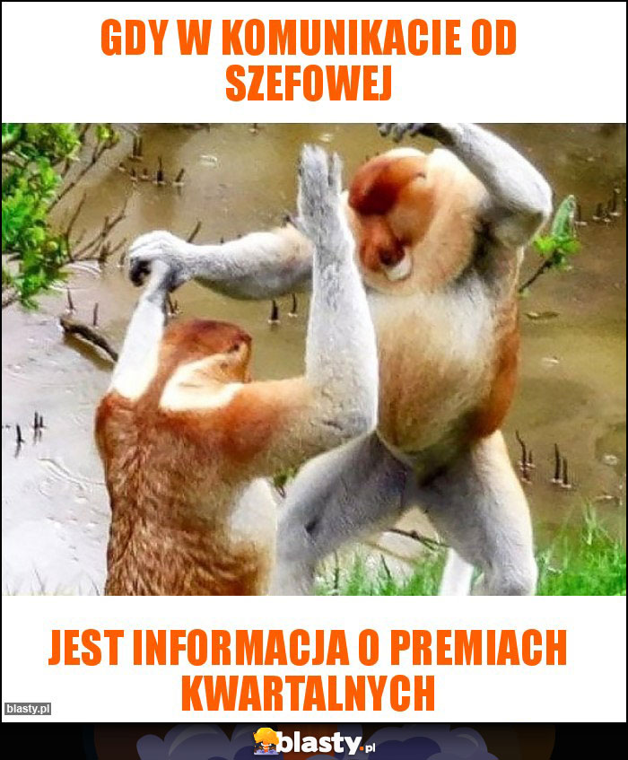 Gdy w komunikacie od Szefowej
