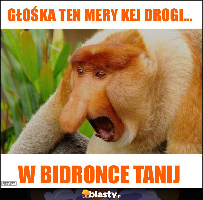 Głośka ten Mery Kej drogi... Głośka ten Mery Kej drogi...