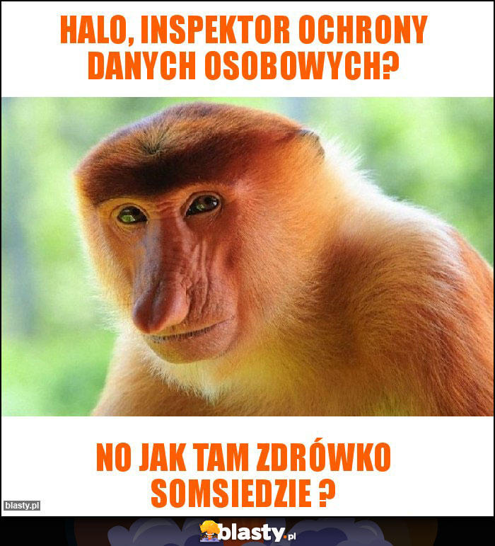Halo, Inspektor Ochrony Danych Osobowych? Halo, Inspektor Ochrony Danych Osobowych?