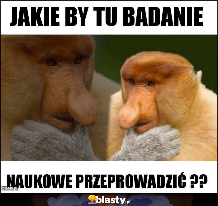 Jakie by tu badanie Jakie by tu badanie