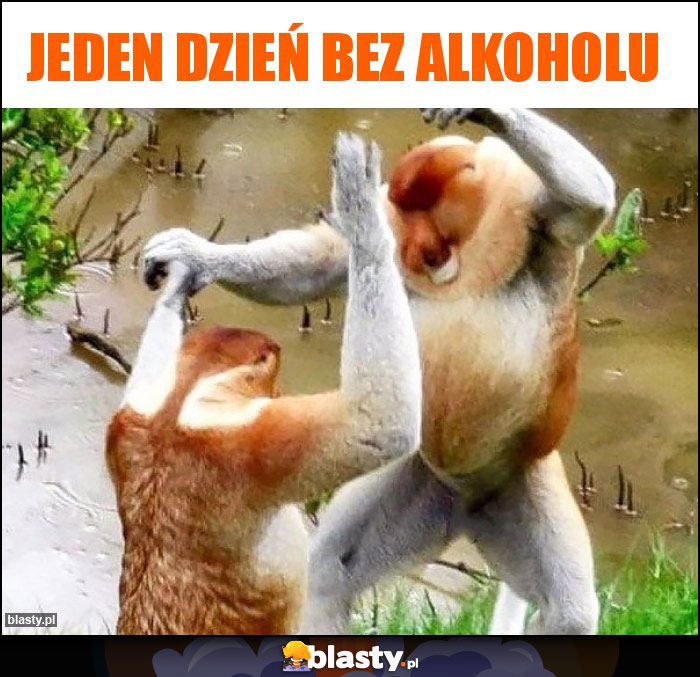 Jeden dzień bez alkoholu Jeden dzień bez alkoholu