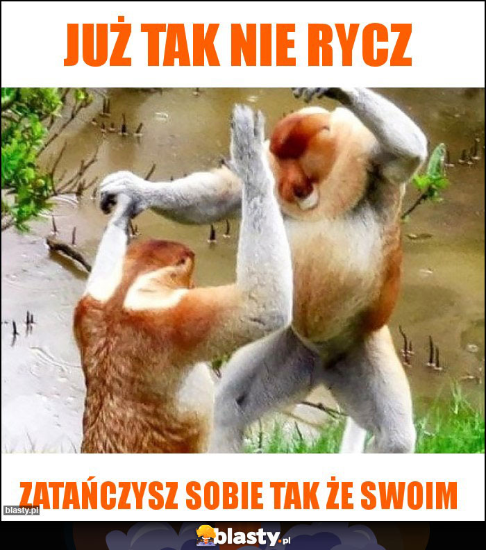 Już tak nie rycz Już tak nie rycz