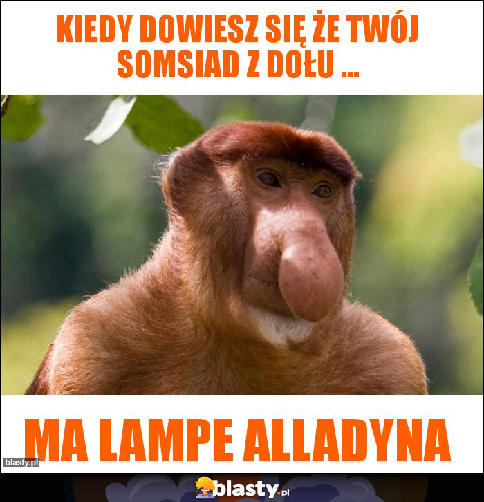 Kiedy dowiesz się że twój somsiad z dołu ... Kiedy dowiesz się że twój somsiad z dołu ...