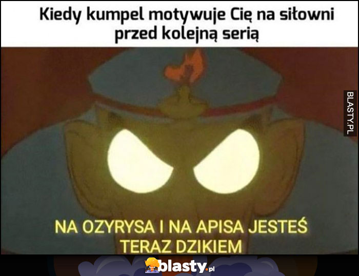 Kiedy kumpel motywuje Cię na siłowni przed kolejną serią: na Ozyrysa i Apisa jesteś teraz dzikiem