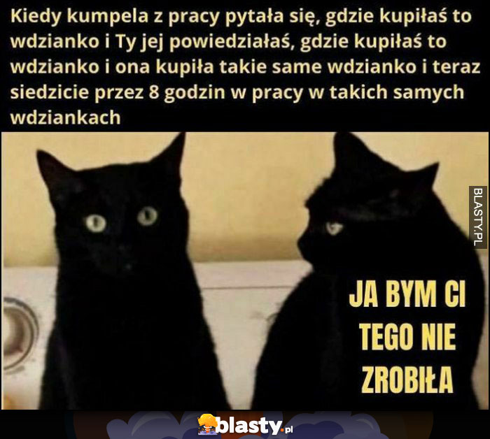 Kiedy kumpela z pracy kupiła takie samo wdzianko jak ty kot koty