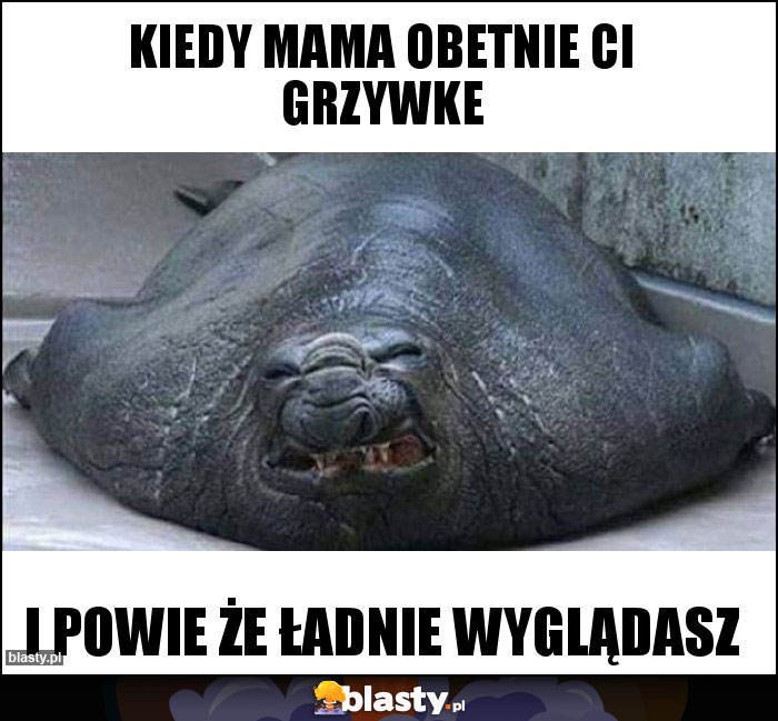 Kiedy mama obetnie ci grzywke Kiedy mama obetnie ci grzywke