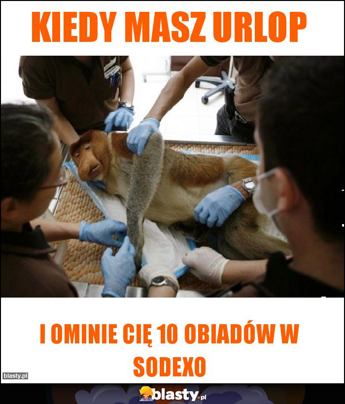 kiedy masz urlop kiedy masz urlop