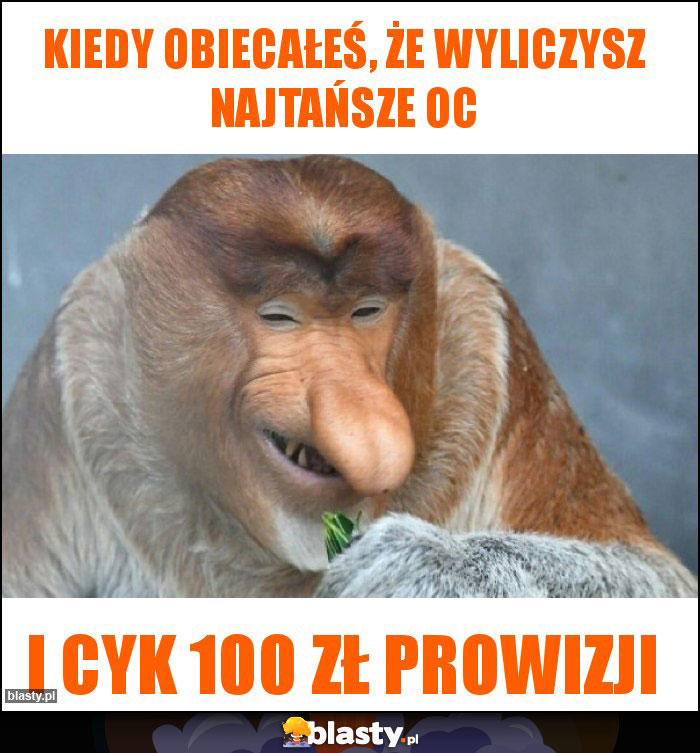 Kiedy obiecałeś, że wyliczysz najtańsze OC Kiedy obiecałeś, że wyliczysz najtańsze OC