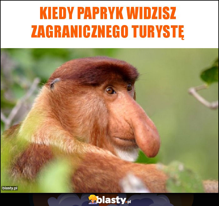 Kiedy papryk widzisz zagranicznego turystę Kiedy papryk widzisz zagranicznego turystę