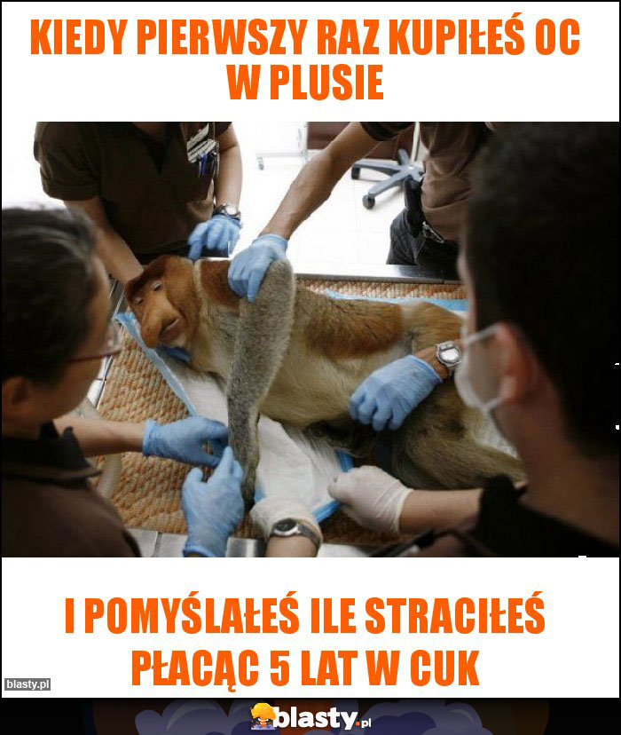 Kiedy pierwszy raz kupiłeś OC w plusie Kiedy pierwszy raz kupiłeś OC w plusie