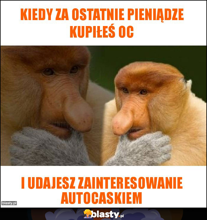 Kiedy za ostatnie pieniądze kupiłeś OC Kiedy za ostatnie pieniądze kupiłeś OC