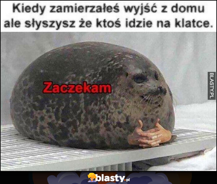 Kiedy zamierzałeś wyjść z domu ale słyszysz, że ktoś idzie na klatce, zaczekam