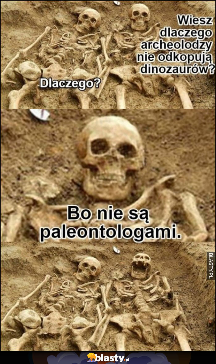 Kościotrupy: wiesz dlaczego archeolodzy nie odkopują dinozaurów? Bo nie są paleontologami