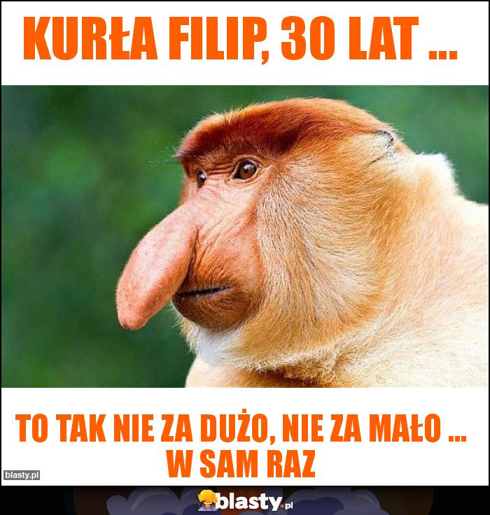 Kurła Filip, 30 lat ... Kurła Filip, 30 lat ...