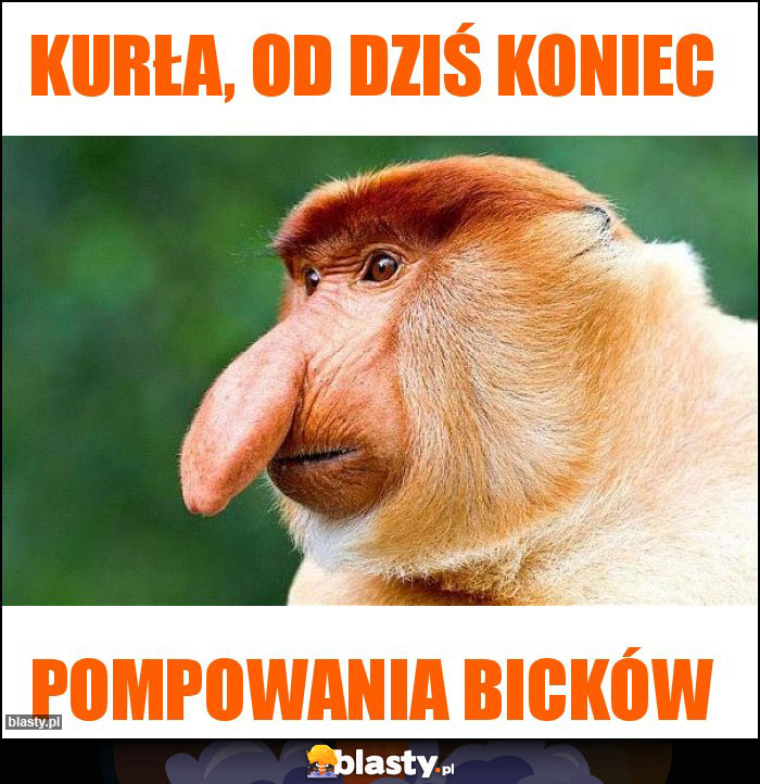 Kurła, od dziś koniec Kurła, od dziś koniec