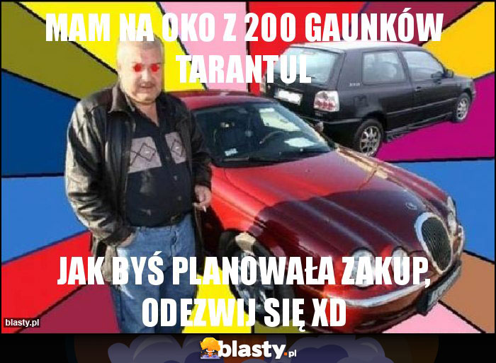 mam na oko z 200 gaunków tarantul mam na oko z 200 gaunków tarantul
