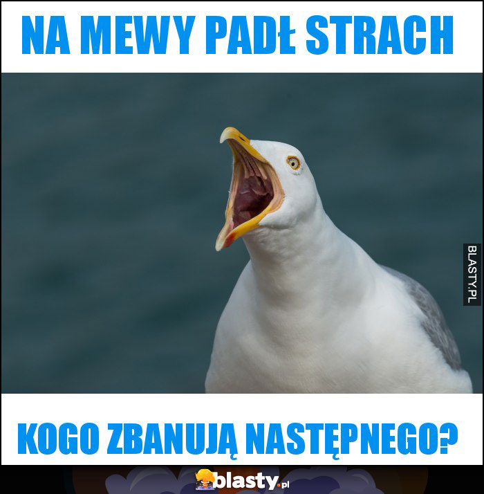 Na mewy padł strach