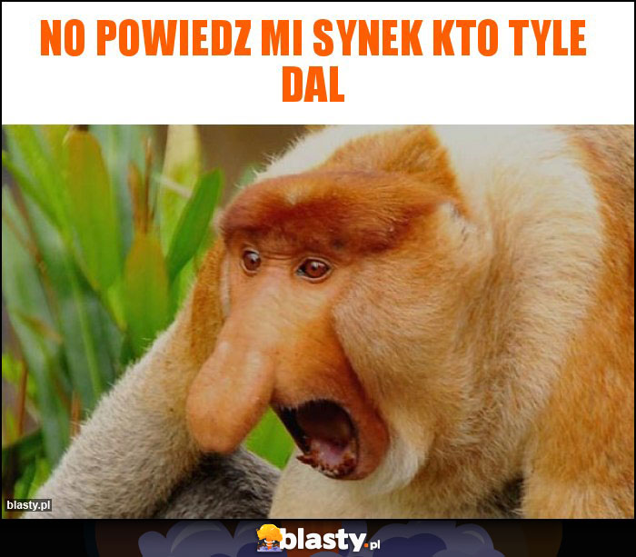 no powiedz mi synek kto tyle dal no powiedz mi synek kto tyle dal
