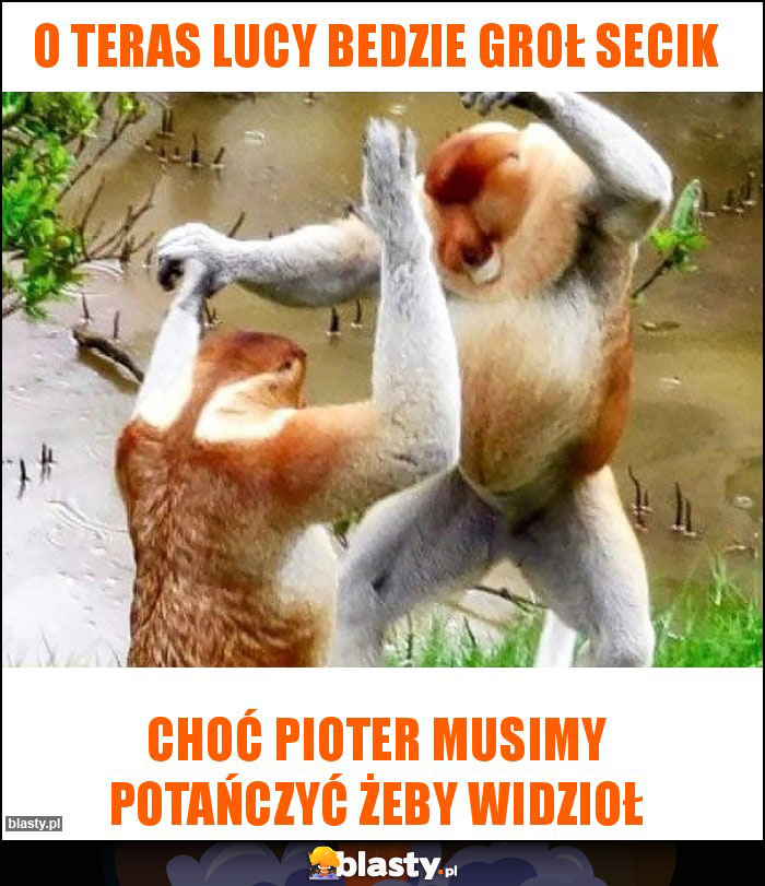 O teras Lucy bedzie groł secik O teras Lucy bedzie groł secik