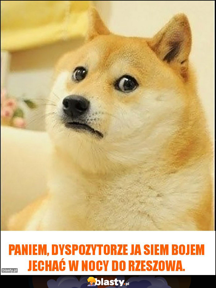 Paniem, dyspozytorze ja siem bojem jechać w nocy do Rzeszowa. Paniem, dyspozytorze ja siem bojem jechać w nocy do Rzeszowa.