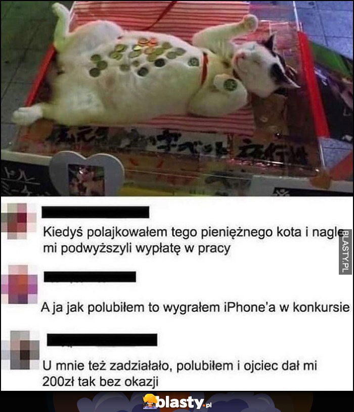 Pieniężny kot opinie osób które dały lajka polajkowały